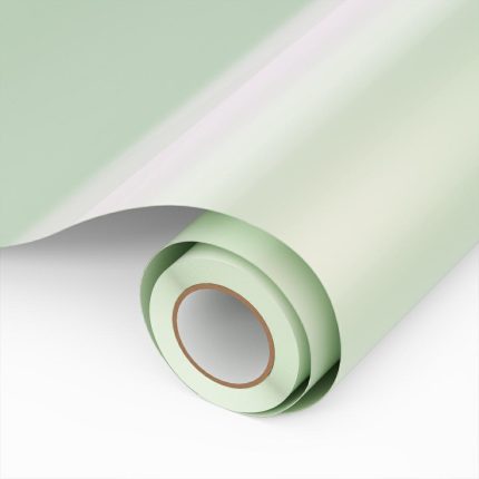 Chameleon htv-Y02-2