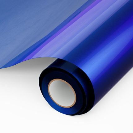 Chameleon htv-Y10-2