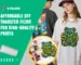 Affordable DTF Transfer Films for High-Quality Prints