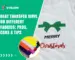 Heat Transfer Vinyl on Different Fabrics Pros, Cons & Tips