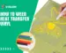 How to Weed Heat Transfer Vinyl