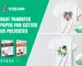 Heat Transfer Paper for Cotton vs Polyester